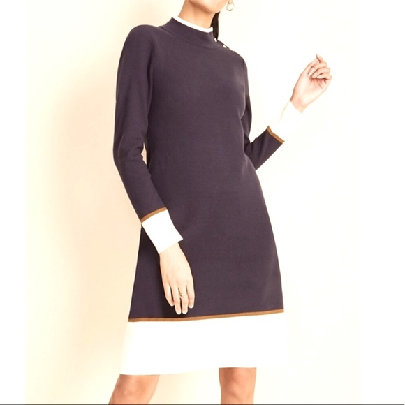 Ann Taylor Dresses & Skirts - Ann Taylor New without Tags Mock Neck with Side Buttons Sweater Dress, size XS